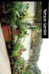 euroconadvert-1