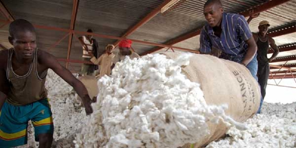 Cotton Kenya Engineer