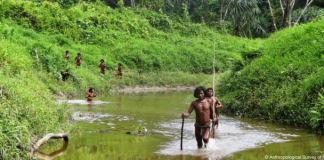 India’s mega-port plan risks genocide of uncontacted island tribe