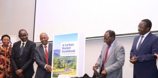 Carbon Market Guidebook for Kenyan Enterprises