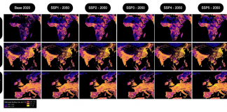 Mapping global rooftop growth for sustainable energy and urban planning
