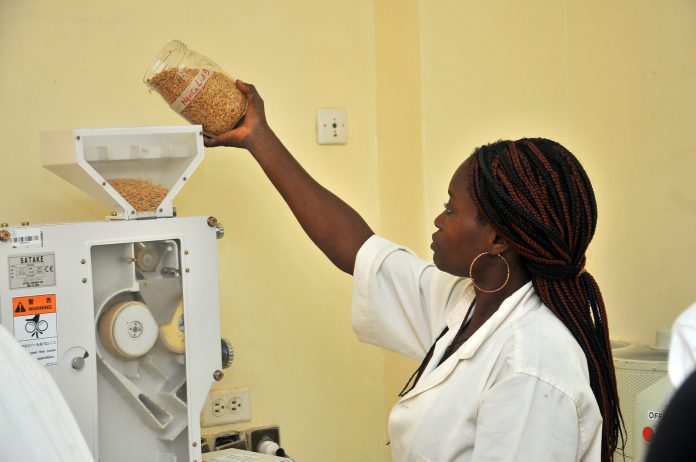 Transformation agricole Togo