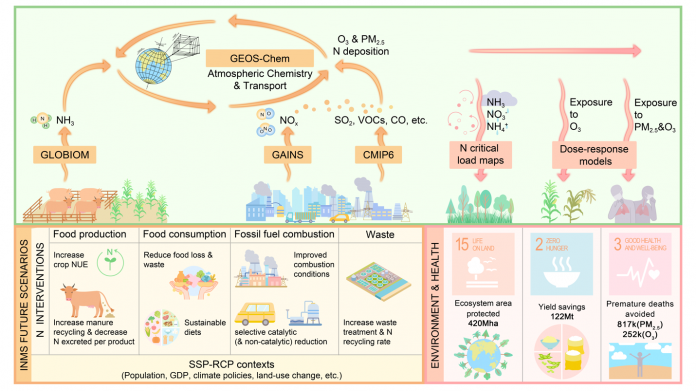 image_63323823821723797708063_1723797708670 Fig.1 An integrated modeling framework evaluates how ambitious nitrogen interventions can reduce ammonia and nitrogen emissions, consequently improve air quality by lowering fine particulate matter and ozone levels, and decrease nitrogen deposition, ultimately benefiting the environment and public health.