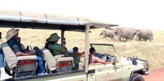 Kenya safari experience