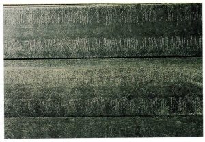 Description: Raised parallel ridges in galvanized coating. These are lateral on this universal section while most are longitudinal.Cause: Narrow zones of higher reactivity on steel surface, usually associated with stress zones related to the manufacturing process. Remedy: Change steel grade. Appearance is affected. No effect on durability.