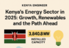 Energy & Petroleum Statistics Report 2025