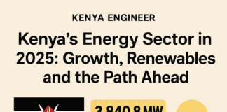 Energy & Petroleum Statistics Report 2025