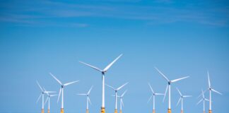 Nature-Positive Engineering