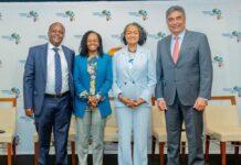 Kepsa Agoa green energy