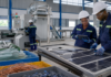 The Solar Boom Needs an End-of-Life Plan Photovoltaic solar panels