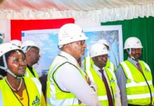 Kenya's KSh29 Billion Hospital Plan