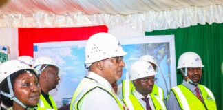 Kenya's KSh29 Billion Hospital Plan