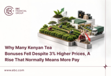 Why Higher Tea Auction Prices Have Not Prevented Lower Bonuses for Kenyan Farmers Kenyan tea farmers bonuses